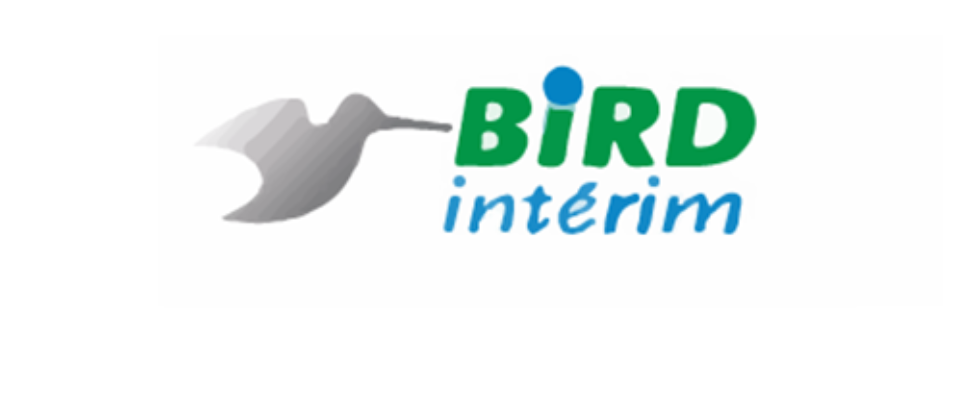 birdinterim2