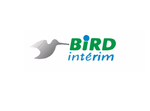 birdinterim2